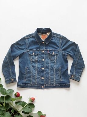 Levi's Blue Denim Trucker Jacket